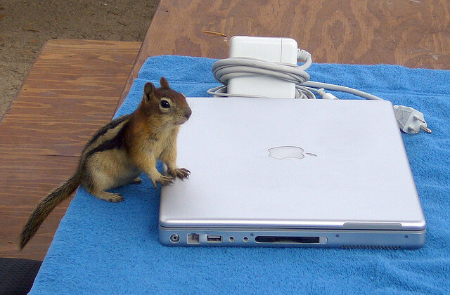 An Apple A Day: Haal het meeste uit oudere chipmunk van MacBooks