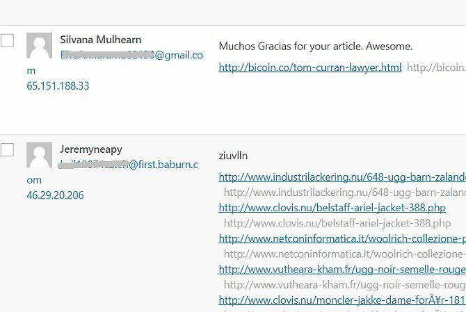 Stel uw blog in met WordPress: The Ultimate Guide spam