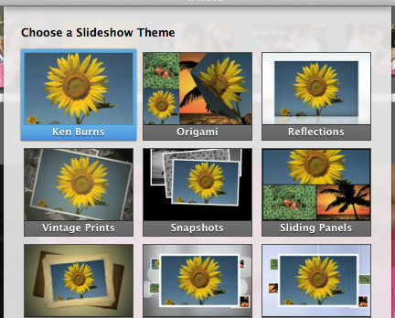 IPhoto-thema