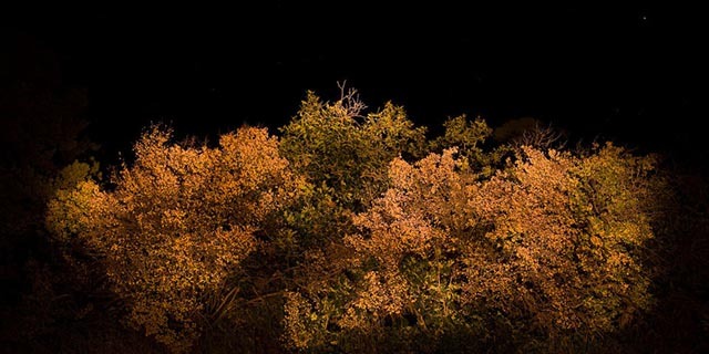 fotografie bij weinig licht