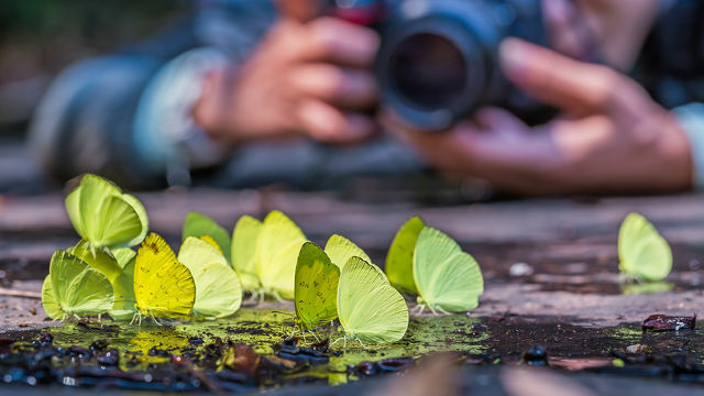 fotografie-redenen-perspectief