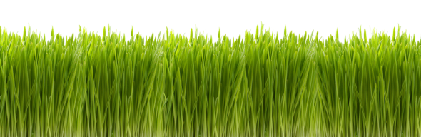 9 manieren om populairder te worden op Facebook [Wekelijkse Facebook-tips] Green Grass