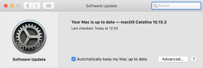 Pagina Systeemvoorkeuren voor software-update in macOS