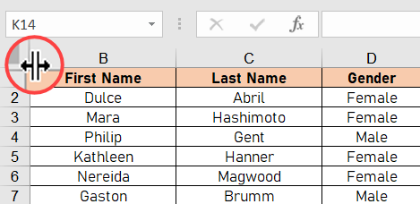 Toon de eerste kolom in Excel