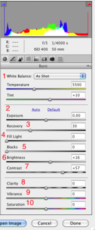 adobe camera raw downloaden