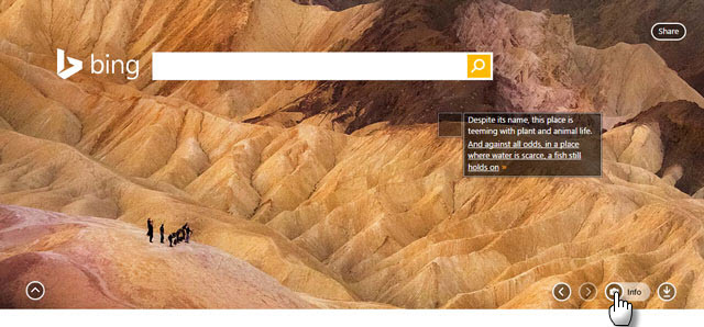 Bing homepage afbeelding