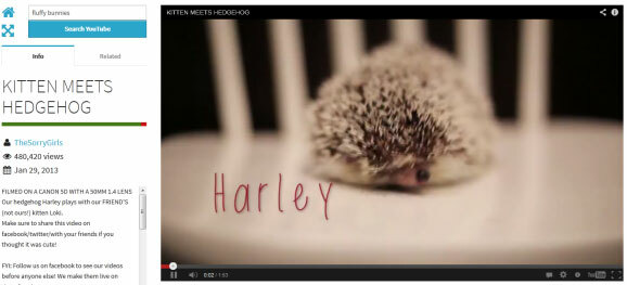 Toogles: een minimalistische interface om YouTube-video's te streamen 2