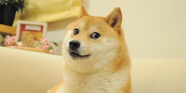 dogecoin-wat-is-doge