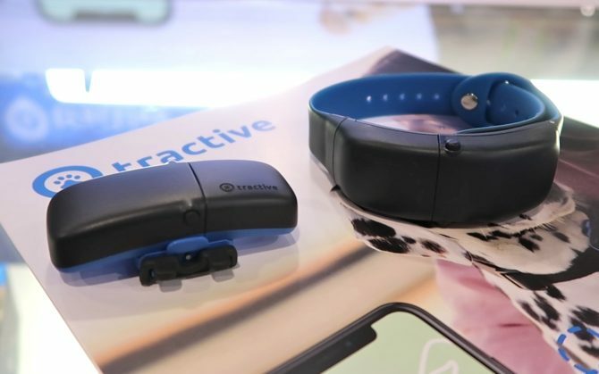 tractive wearable tracking voor huisdieren