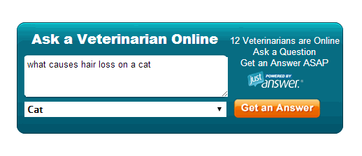 petmd-vraag-een-dierenarts-online