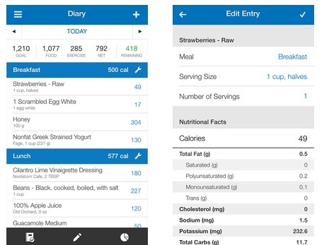 myfitnesspal site