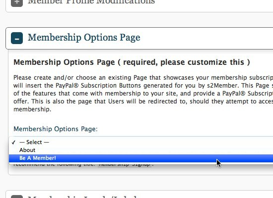 Een website met alleen lidmaatschap maken met behulp van WordPress 06b Lidmaatschapsopties Pagina-opties