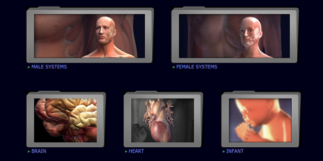 3d-anatomie-modellen-3dscience