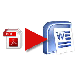 Hoe een PDF-bestand naar een Word-document te converteren met AnyBizSoft PDF naar Word-converter AnyBizSoft08 Thumb