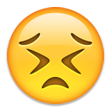 uithoudingsvermogen doorzettingsvermogen emoji emoticon