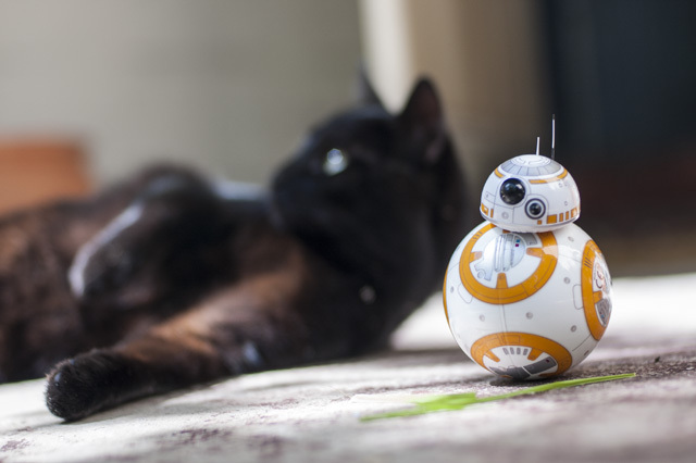 Feline the Force: Sphero Star Wars BB-8 Review en Giveaway DSC 0033