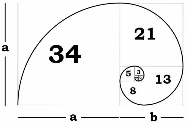 fibonacci-spiraal-uitleg