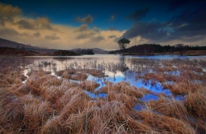 moeras landschap foto-opname