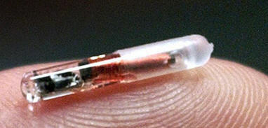 Big Daddy Is Watching: 6 manieren waarop u dagelijks wordt gecontroleerd rfid implantjpg1