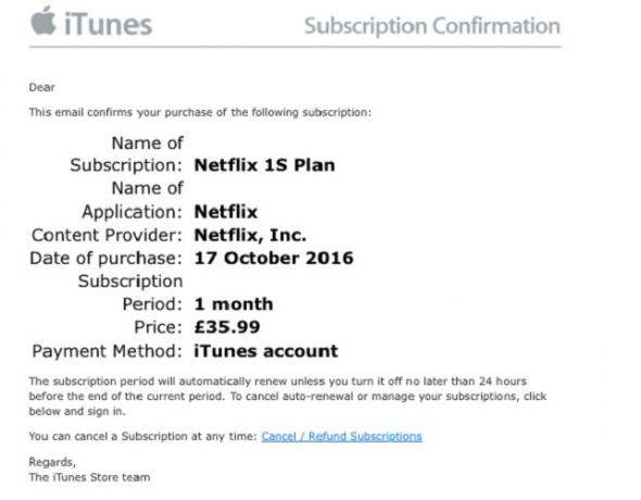 iTunes Netflix Scam E-mail