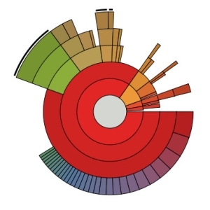 schijf analyzer