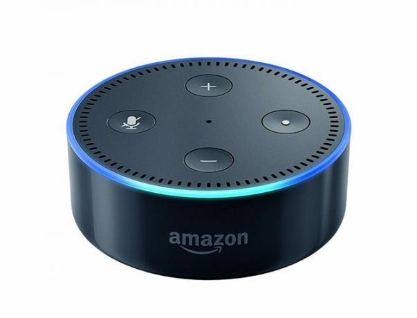 Amazon echo punt