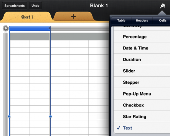 Een cool uitziend formulier maken in Numbers '09 [iOS] -spreadsheet1