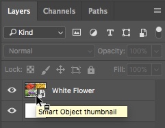 Thumbnail van Photoshop CC 2018 Smart Object