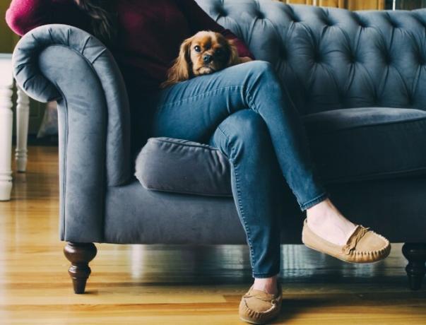 vrouw en hond zittend op de bank