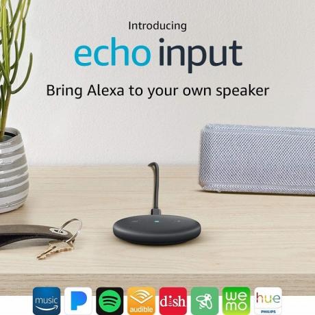 echo-invoer