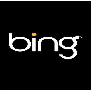 Bing introduceert Typeless Search - werkt het? [Nieuws] bing 1