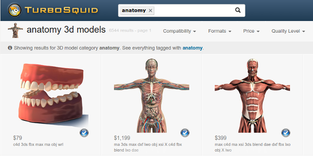 3D-anatomie-modellen-turbosquid