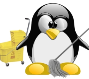 veeg en maak linux schoon