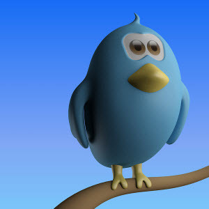 Twacked - When Good Twitter Accounts Go Bad [INFOGRAPHIC] twitterbird