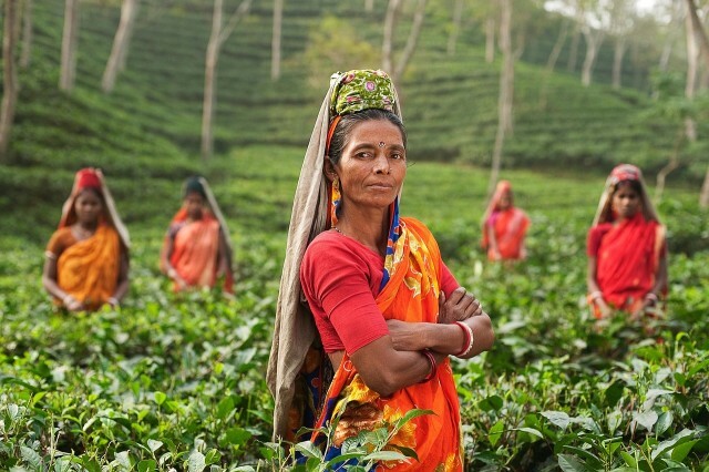 Mensen in India op een boerderij