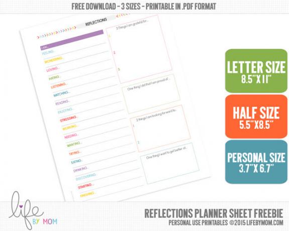 Productiviteitsplanner - reflecties