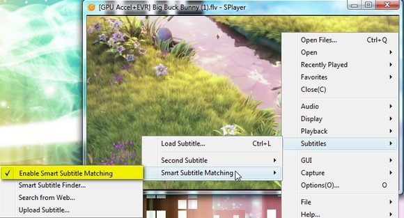 Splayer - Een draagbare Play-All Media Player voor Windows 6