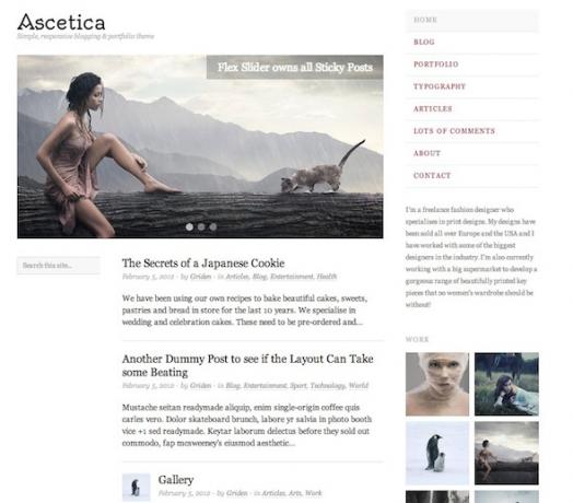 WordPress porfolio-thema's