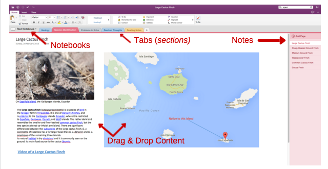 OneNote Organization Voorbeeld Screenshot