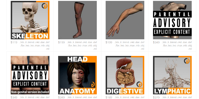 3D-anatomie-modellen-cgstudio