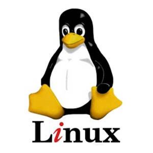 gemakkelijkste versie van Linux