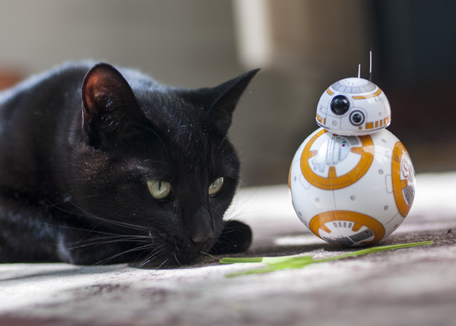 Feline the Force: Sphero Star Wars BB-8 Review en Giveaway DSC 0034