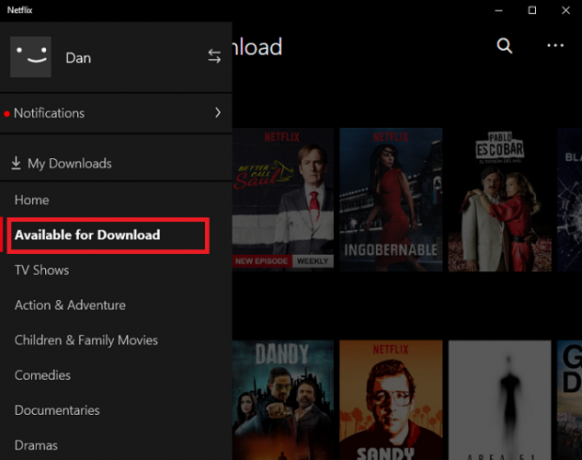 netflix downloaden windows 10