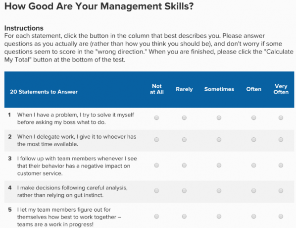 Vind uw managementstijl en verbeter uw management, leiderschap en mensenvaardigheden bij Mind Tools