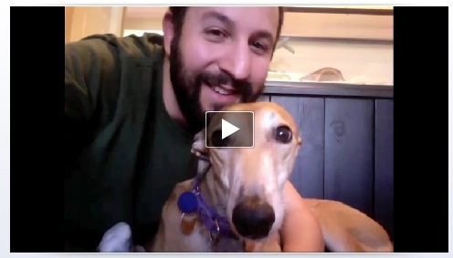 Facebook introduceert videogesprekken met Skype [News] Videochat Dog