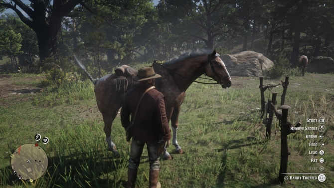 red dead redemption 2 paardenbinding