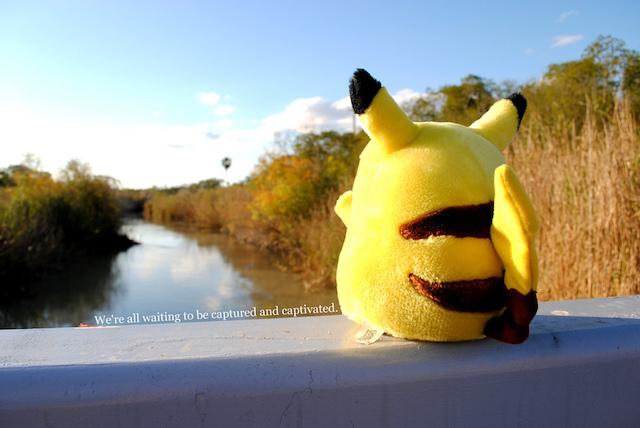 Pikachu zittend op een spoor op zoek naar de natuur