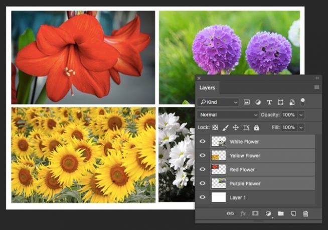 Photoshop CC 2018 vier lagen