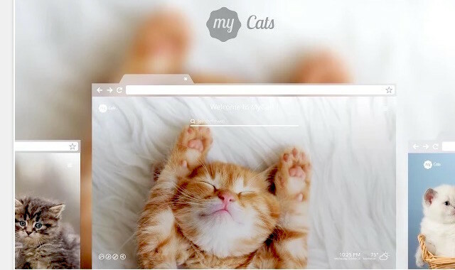 chroom-my-cats-new-tab